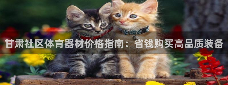 耀世盛典手游下载：甘肃社区体育器材价格指南：省钱购买