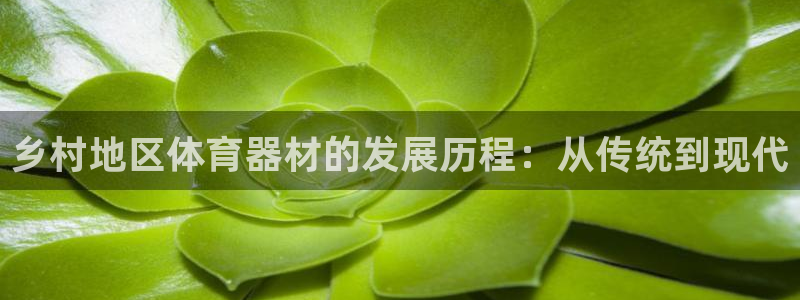 耀世娱乐平台官网：乡村地区体育器材的发展历程：从传统
