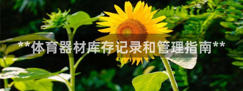 耀世娱乐联 411O31 娱乐：**体育器材库存记录