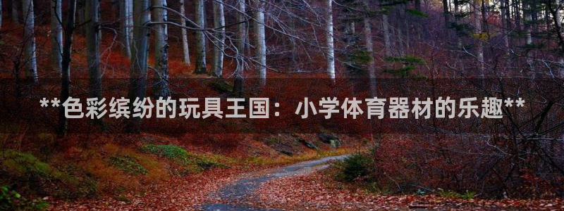 耀世平台是黑台子吗知乎：**色彩缤纷的玩具王国：小学