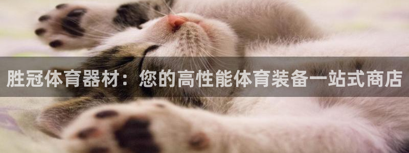 耀世微光简谱：胜冠体育器材：您的高性能体育装备一站式