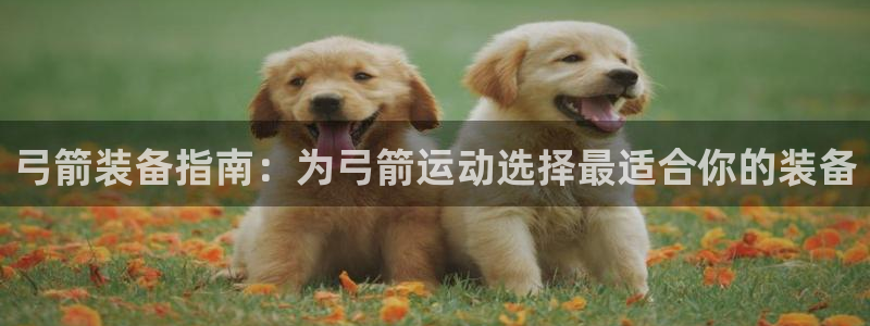 耀世娱乐客服电话号码：弓箭装备指南：为弓箭运动选择最