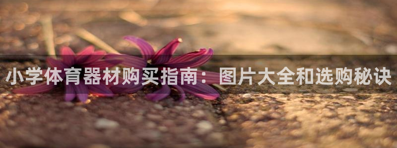 耀世娱乐客服电话多少：小学体育器材购买指南：图片大全