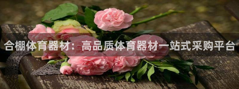耀世微光mp3下载：合棚体育器材：高品质体育器材一站