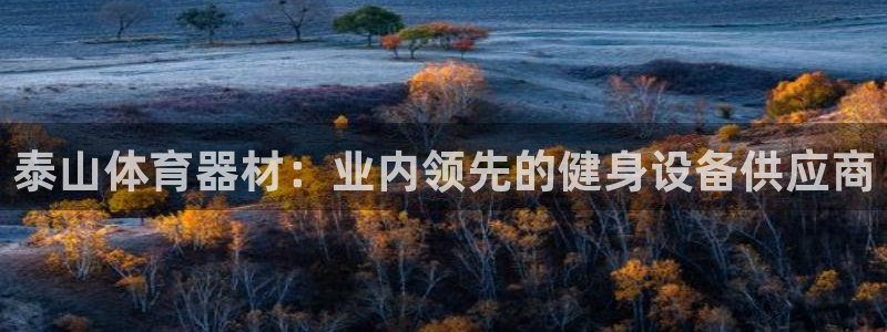 耀世而生什么意思：泰山体育器材：业内领先的健身设备供