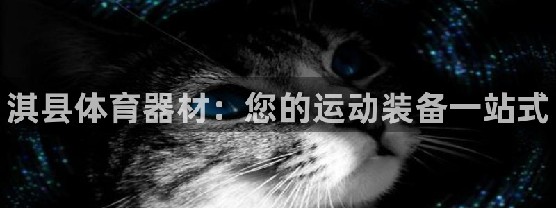 耀世璀璨：淇县体育器材：您的运动装备一站式