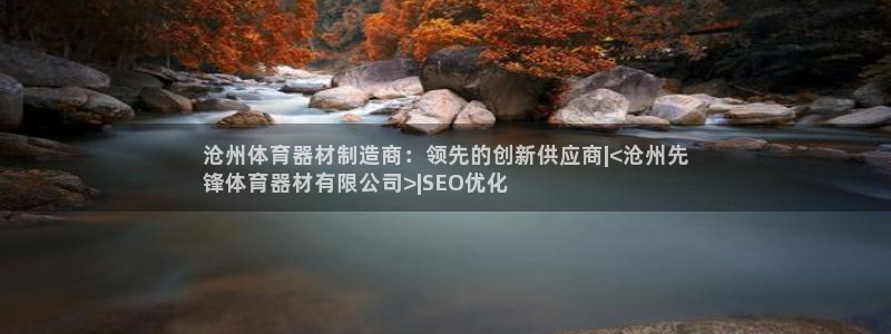 耀世娱乐代理什么待遇可以做：沧州体育器材制造商：领先