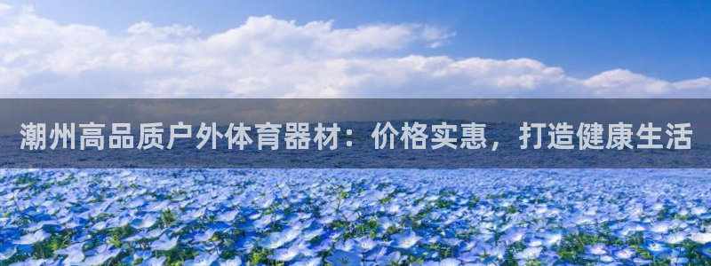 耀世集团商业联盟罗文斌：潮州高品质户外体育器材：价格