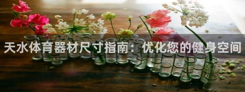 耀世娱乐平台注册地址在哪里看：天水体育器材尺寸指南：优化您的