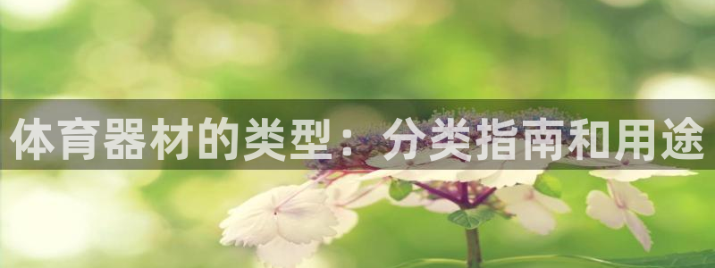 耀世微光 歌词：体育器材的类型：分类指南和用途