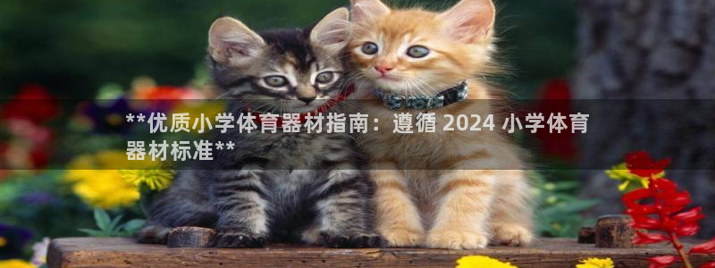耀世平台哪个彩种是公平彩中的：**优质小学体育器材指