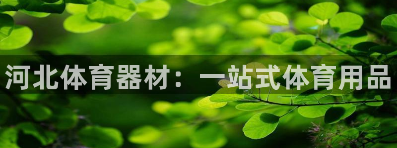 耀世平台注册步骤微博：河北体育器材：一站式体育用品