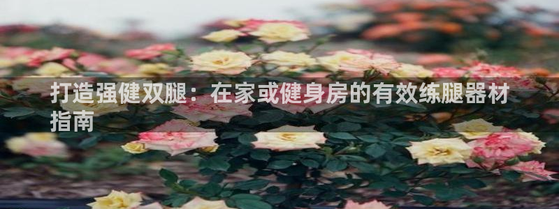 耀世娱乐安全吗可信吗：打造强健双腿：在家或健身房的有