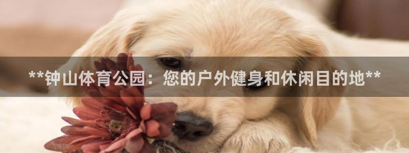 耀世娱乐如何登录平台号：**钟山体育公园：您的户外健