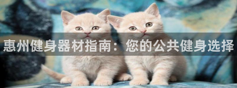 耀世平台会员中心在哪：惠州健身器材指南：您的公共健身