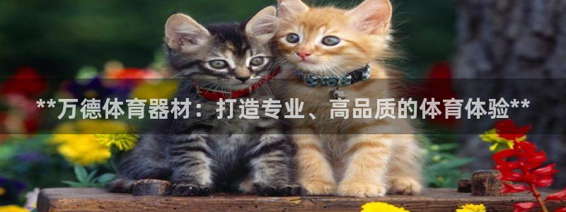 耀世娱乐登陆地址