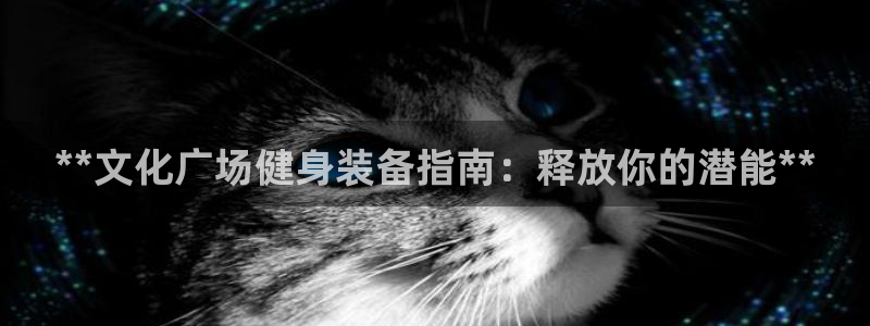 耀世天下图片：**文化广场健身装备指南：释放你的潜能**