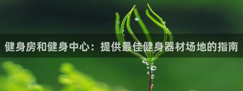 耀世娱乐网站：健身房和健身中心：提供最佳健身器材场地的指南