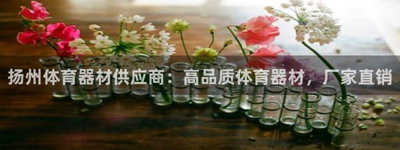 耀世娱乐是玛雅旗下的吗：扬州体育器材供应商：高品质体育器材，