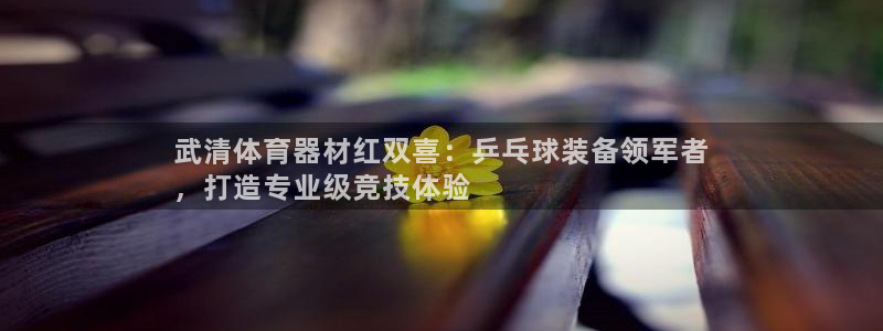 耀世平台华 5O6917 平台：武清体育器材红双喜：乒乓球装