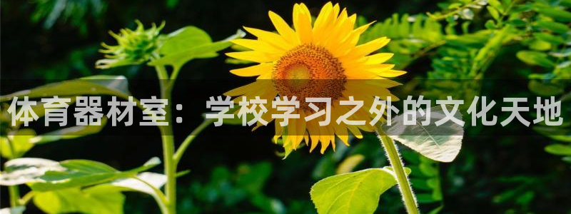 耀世平台华 5O6917 平台：体育器材室：学校学习
