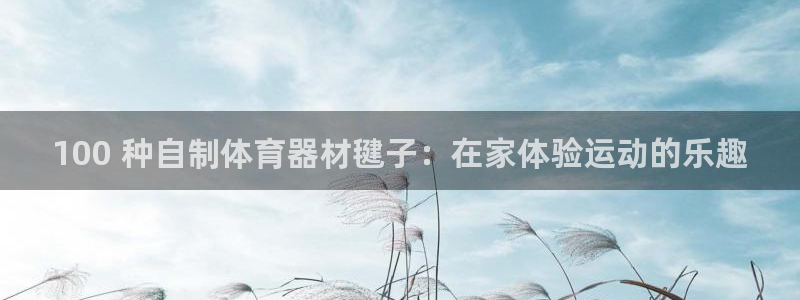 耀世娱乐平台注册地址在哪里查：100 种自制体育器材毽子：在