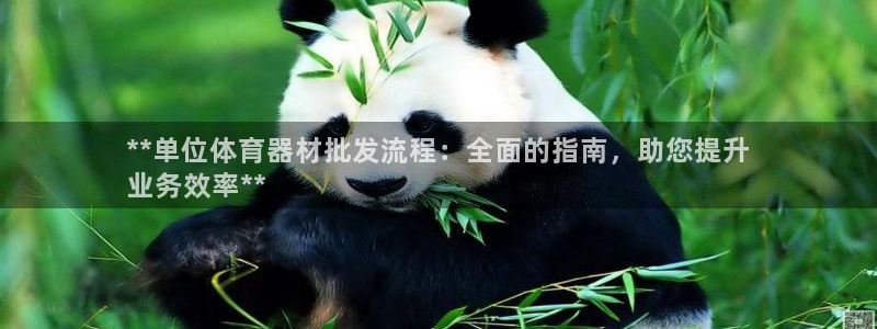耀世集团四个字的图片：**单位体育器材批发流程：全面的指南，
