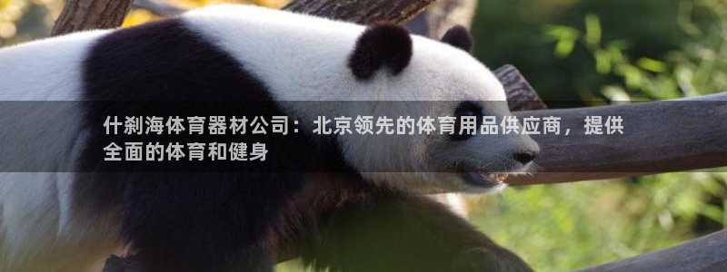耀世是什么游戏里的人物：什刹海体育器材公司：北京领先