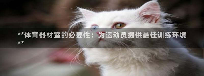 耀世娱乐平台注册地址在哪里：**体育器材室的必要性：