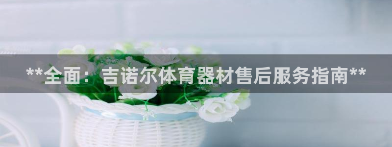 耀世娱乐官网网站登录：**全面：吉诺尔体育器材售后服
