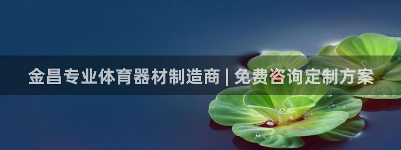 耀世启幕：金昌专业体育器材制造商 | 免费咨询定制方
