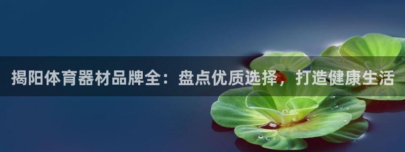 耀世平台登录地址：揭阳体育器材品牌全：盘点优质选择，打造健康