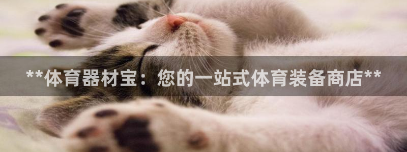 耀世平台哪个彩种是公平彩：**体育器材宝：您的一站式