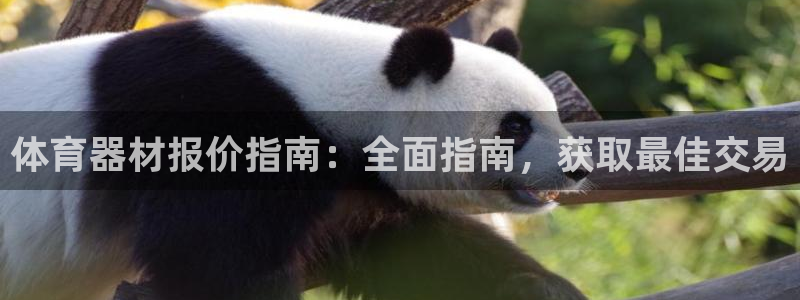 耀世平台必7O777：体育器材报价指南：全面指南，获