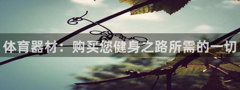 耀世集团是干嘛的企业啊知乎：体育器材：购买您健身之路所需的一