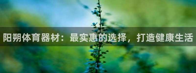 耀世集团四个字的图片：阳朔体育器材：最实惠的选择，打