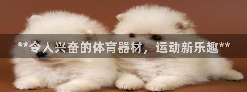 耀世集团七天三倍彩金活动：**令人兴奋的体育器材，运动新乐趣