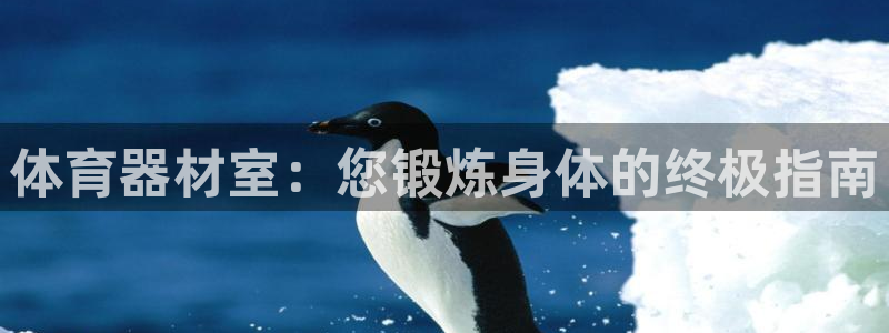 耀世娱乐网站下载：体育器材室：您锻炼身体的终极指南
