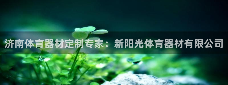 耀世首开什么意思：济南体育器材定制专家：新阳光体育器