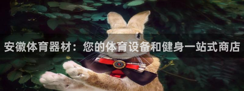 耀世挑战第三关怎么过：安徽体育器材：您的体育设备和健身一站式