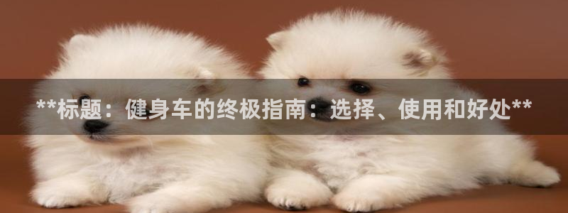 耀世娱乐是个什么平台啊：**标题：健身车的终极指南：选择、使