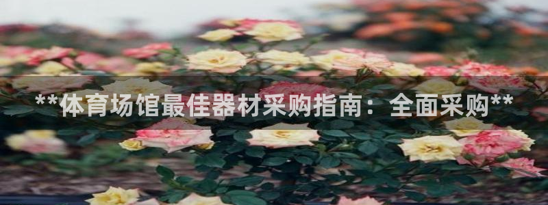 耀世娱乐客服电话多少：**体育场馆最佳器材采购指南：全面采购