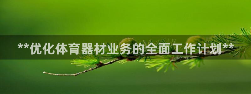 耀世娱乐老板叫什么：**优化体育器材业务的全面工作计划**
