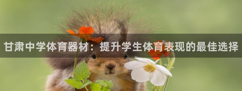 耀世娱乐平台官网登录：甘肃中学体育器材：提升学生体育