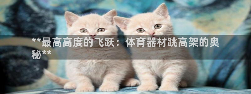 耀世平台开户联4.8.7.7.8.4他系稳定吗：**