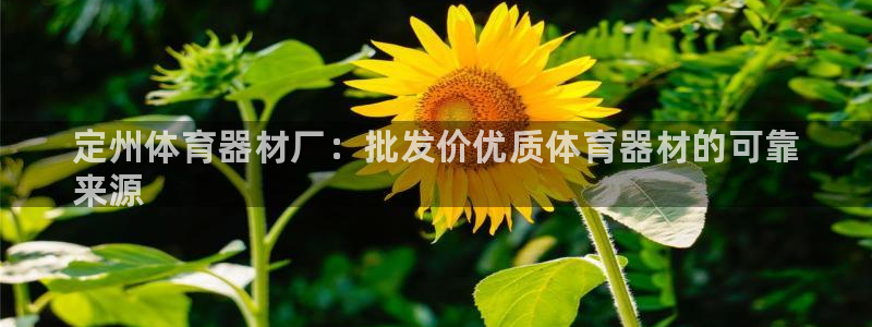 耀世娱乐下载链接安装：定州体育器材厂：批发价优质体育器材的可