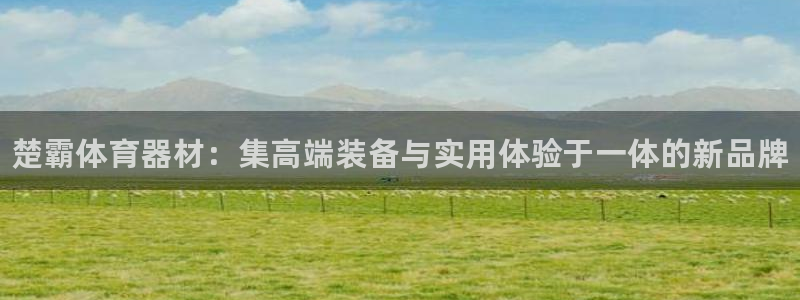 耀世挑战第三关怎么打：楚霸体育器材：集高端装备与实用体验于一