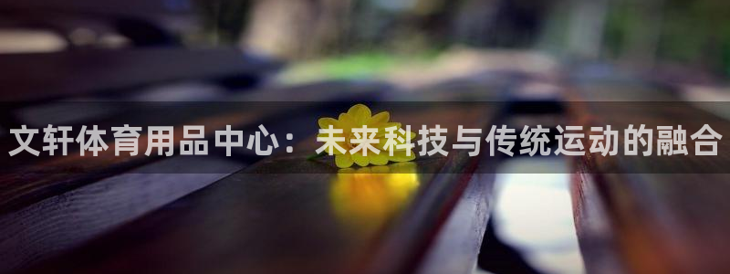 耀世平台注册：文轩体育用品中心：未来科技与传统运动的融合