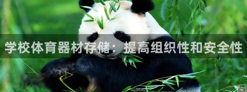 耀世平台关7O777：学校体育器材存储：提高组织性和