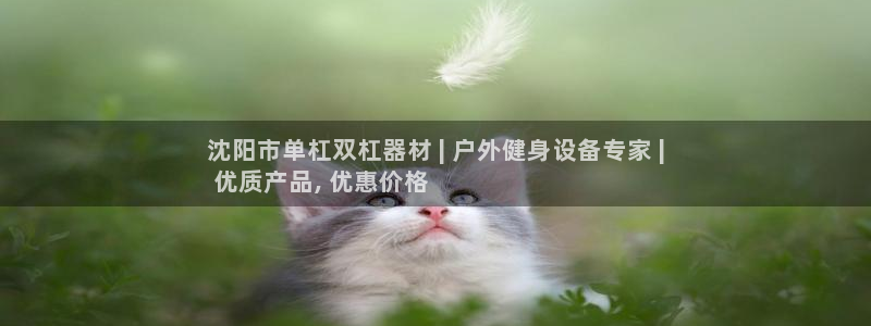 耀世娱乐提款：沈阳市单杠双杠器材 | 户外健身设备专